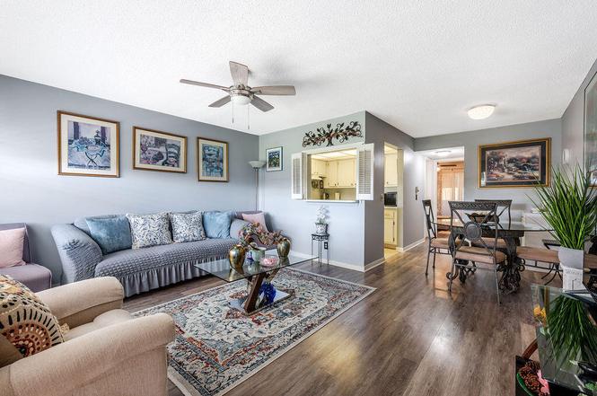 393 Windsor