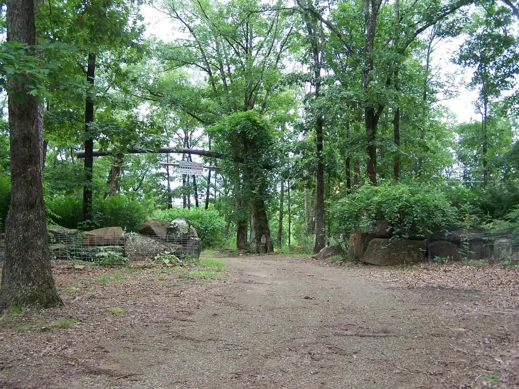 1307 Dodd Mtn. Rd