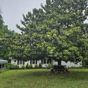 103 Ridgemont Dr