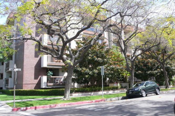 324 N Palm Dr #204
