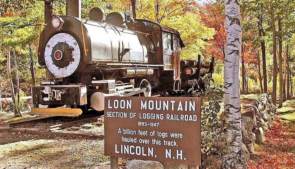 90 Loon Mountain Rd Unit 861D