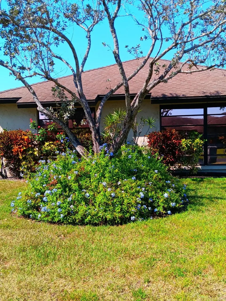 10178 Eaglewood Rd Unit A