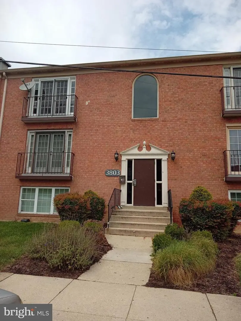 3803 Swann #304