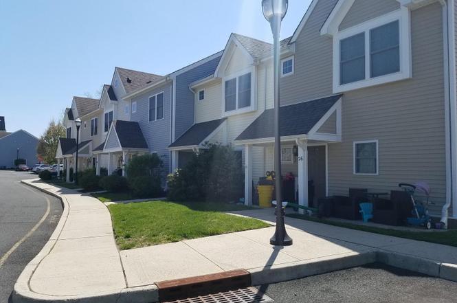 24 Cedar Xing