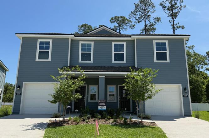 131 Brazil Nut Cir #247