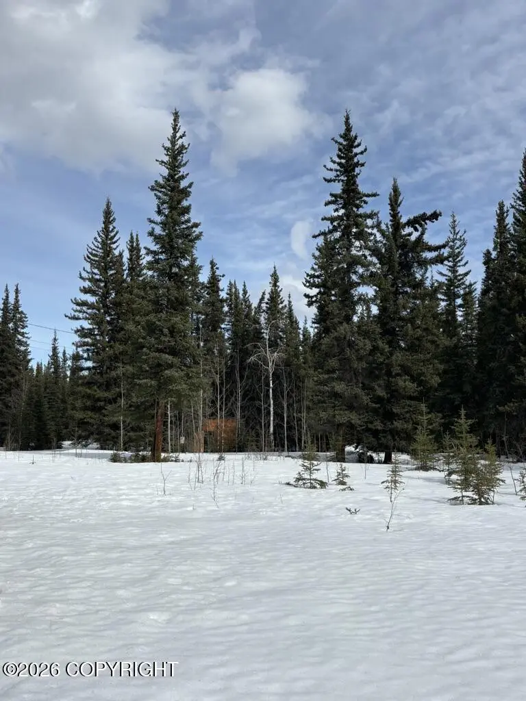 1318.5 Alaska Hwy