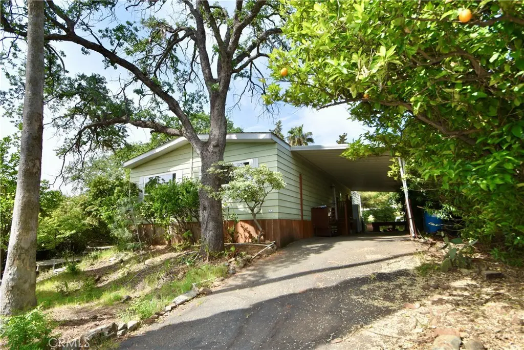 67 Montrose