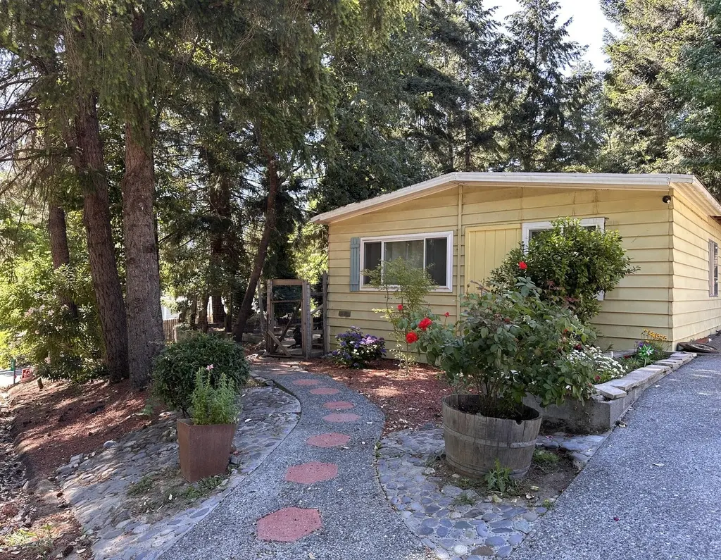 25 Tree Top Ln