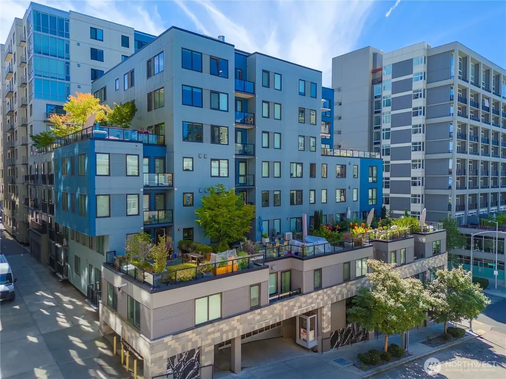 81 Clay St #224