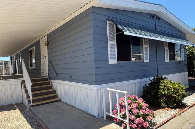 161 Magnolia