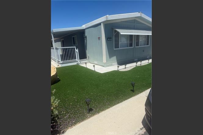 7501 Palm