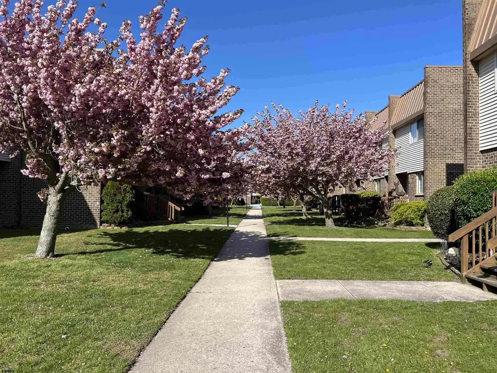 803 B Dudley Ct #1404