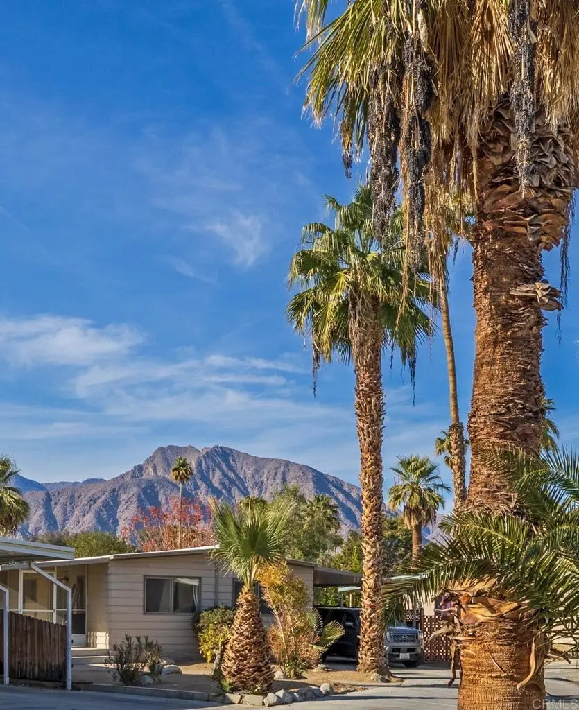1010 Palm Canyon Dr #94