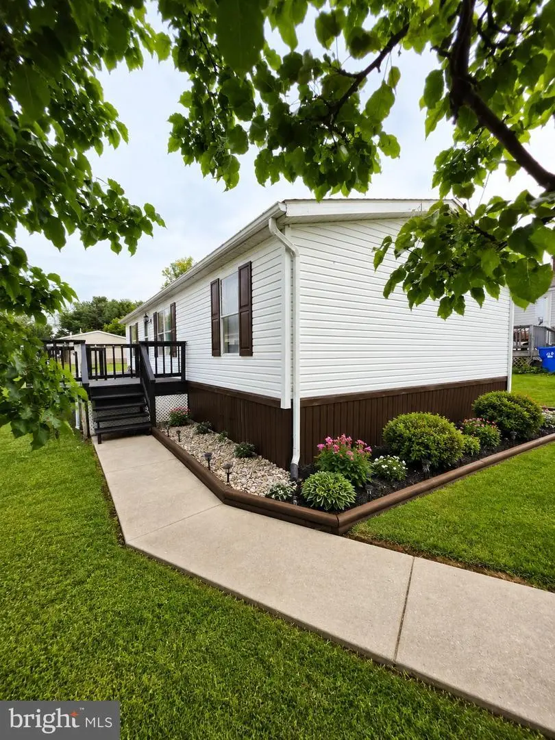 11 Spring Dr