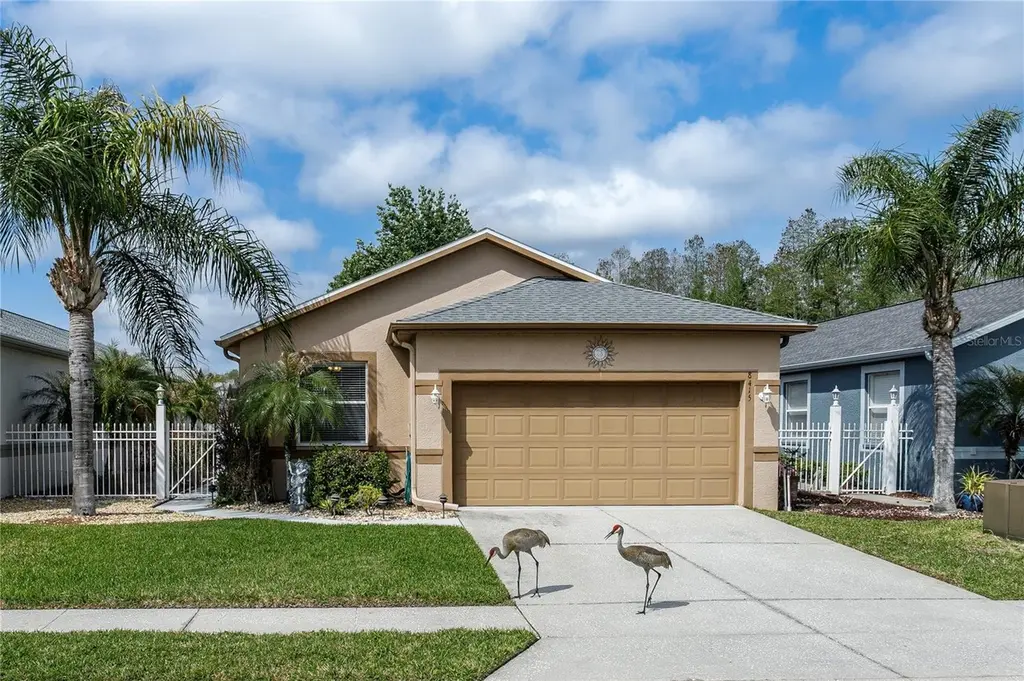 8415 Tarocco Ct