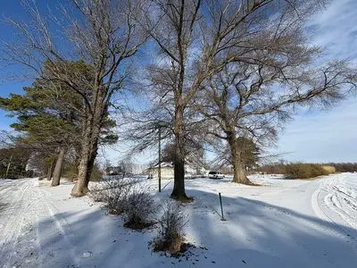 880 County Road 169