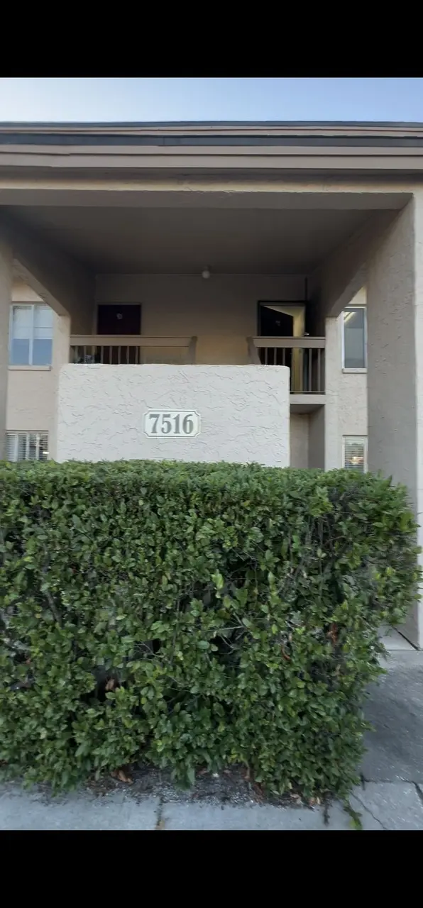 7516 Needle Leaf Pl