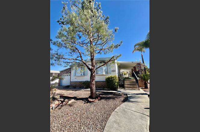 30615 Arenga Palm