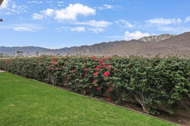 1655 E Palm Canyon Dr #307