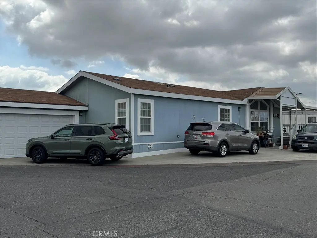 50 Cypress