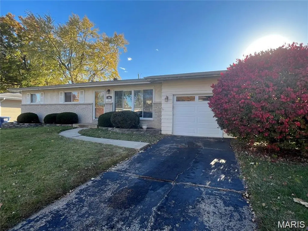 290 Francisca Dr
