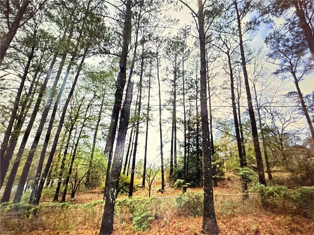 470 Lee Road 234