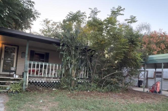 169 Jewel Ave