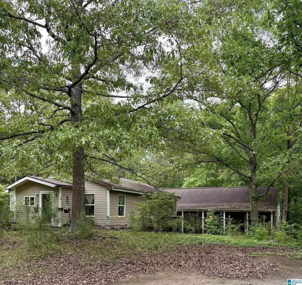 1385 County Road 13