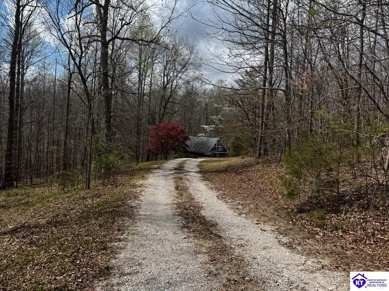 225 Mockingbird Ln