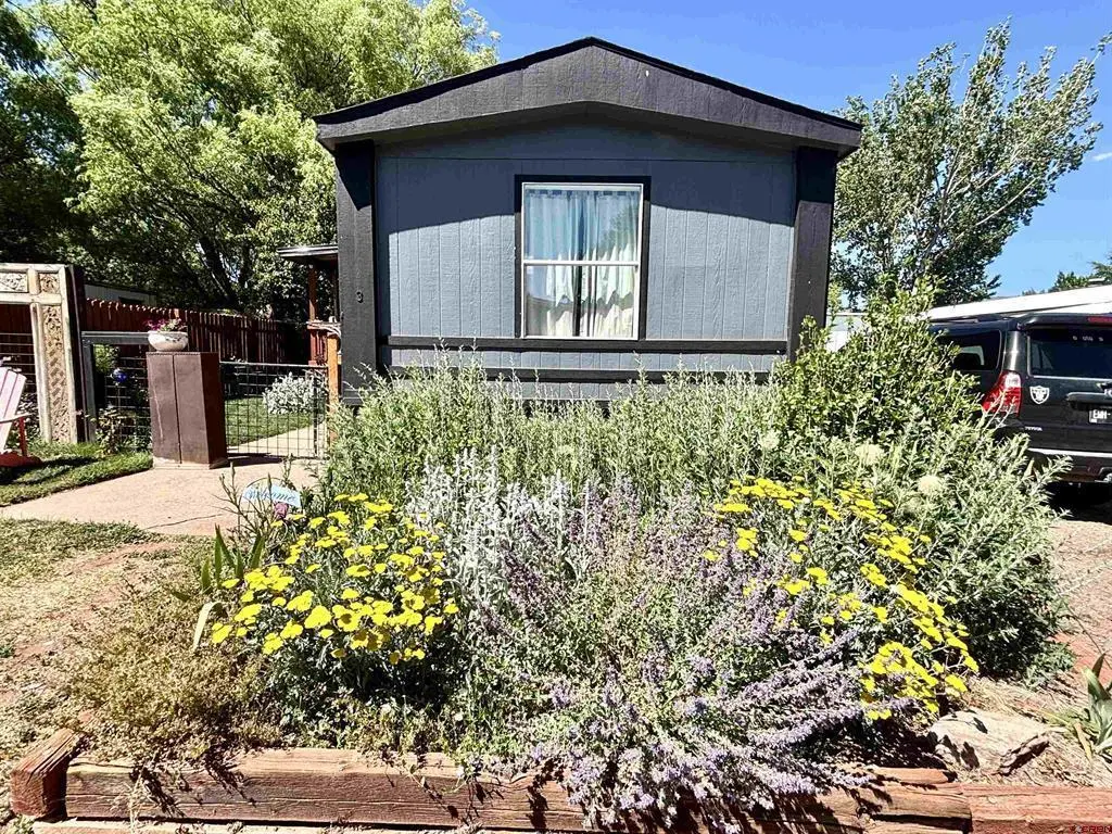 3 Palomino Dr