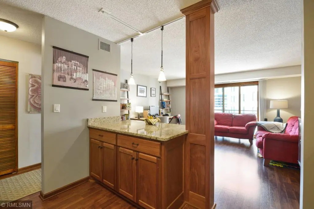 121 Washington Ave S #915