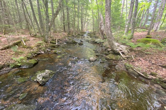 783 Half Township Rd
