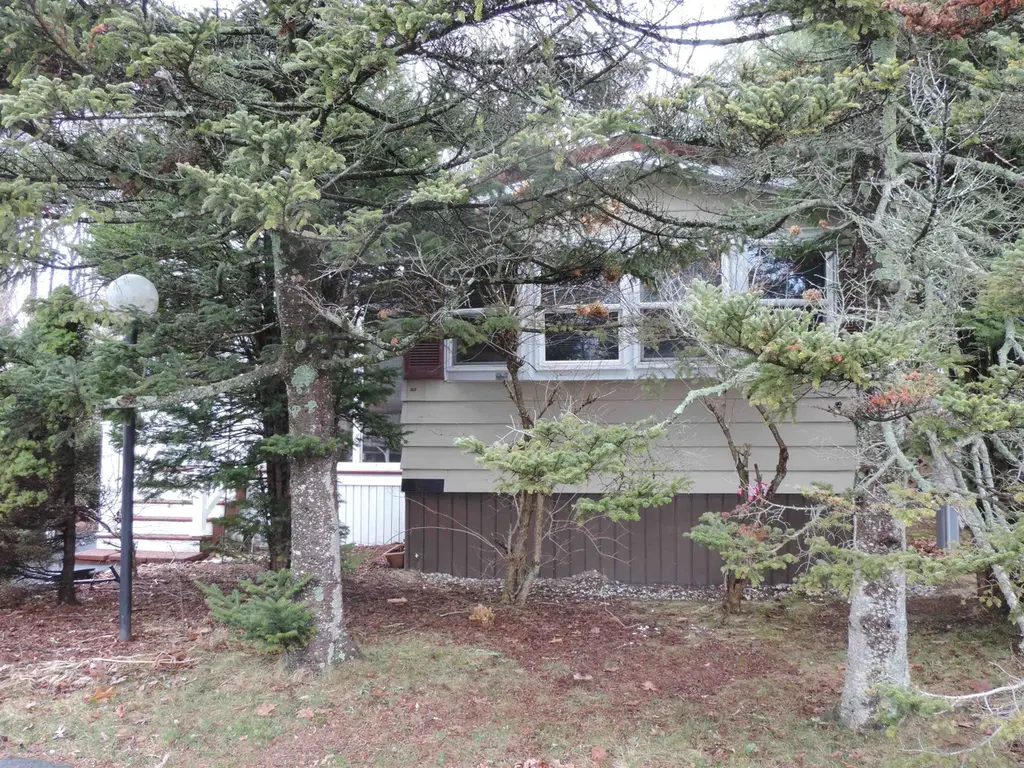13 S Blueberry Ln