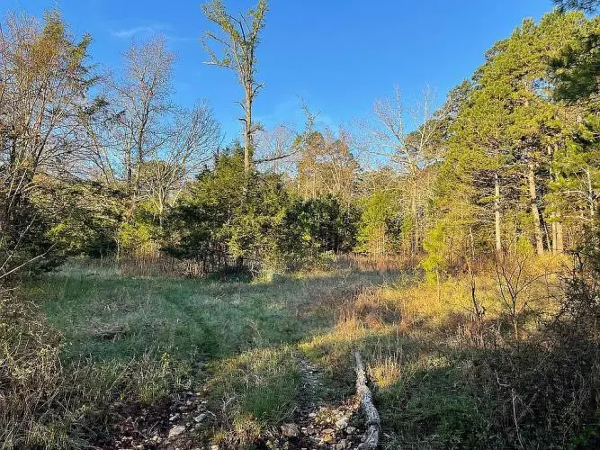 5413 County Road 579