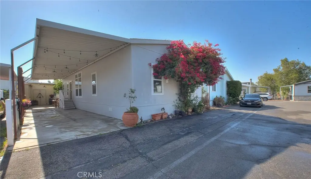 8221 Ilex #55