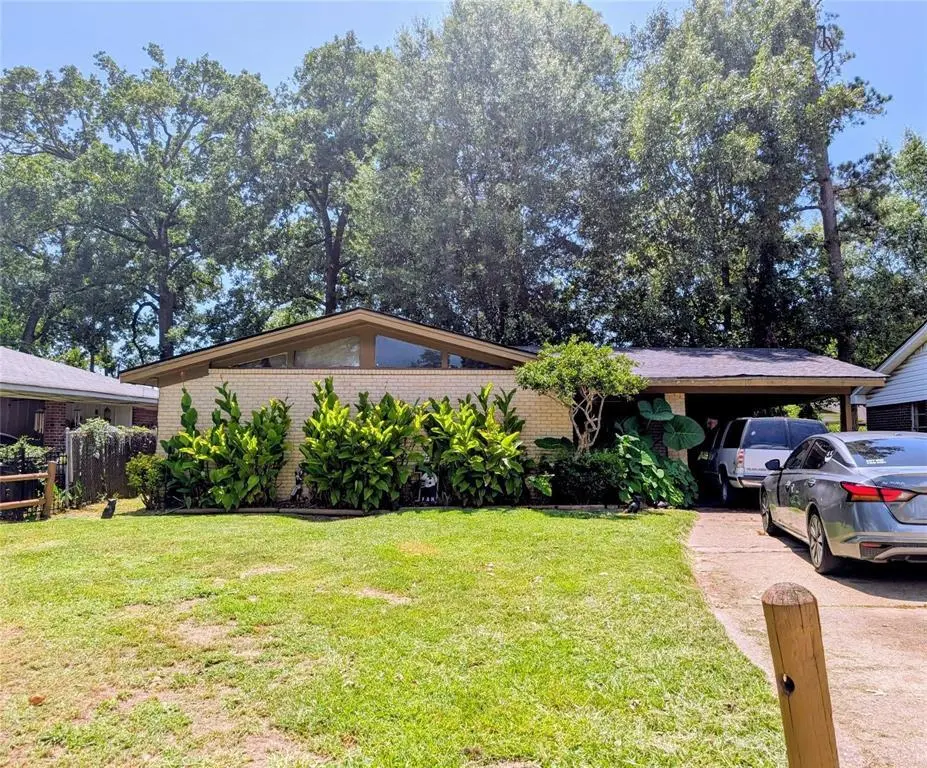 810 Pine Tree Dr