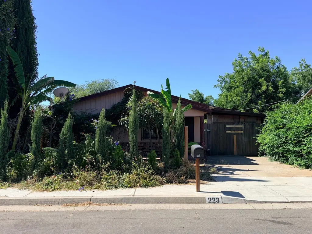 223 W Alluvial Ave