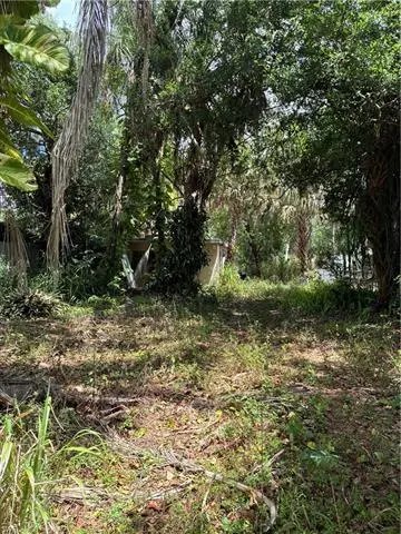 315 Buena Vista Blvd