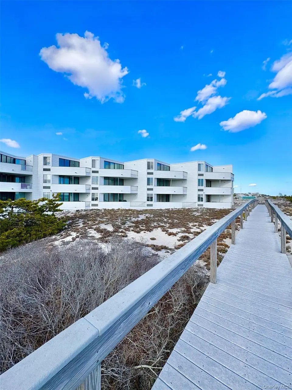 253 Dune #49
