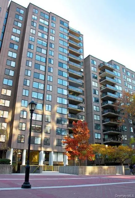 531 Main St #1511